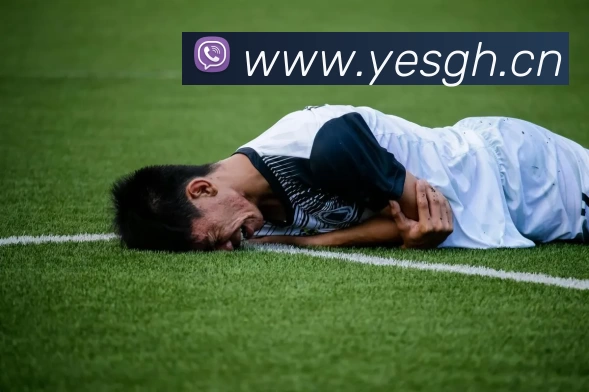 PA尊龙凯时·[中国]官方网站平台生态图