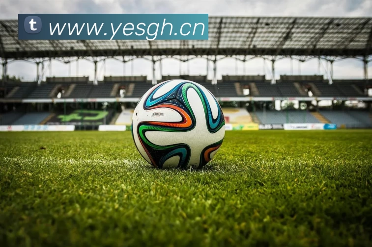 PA尊龙凯时·[中国]官方网站全站App